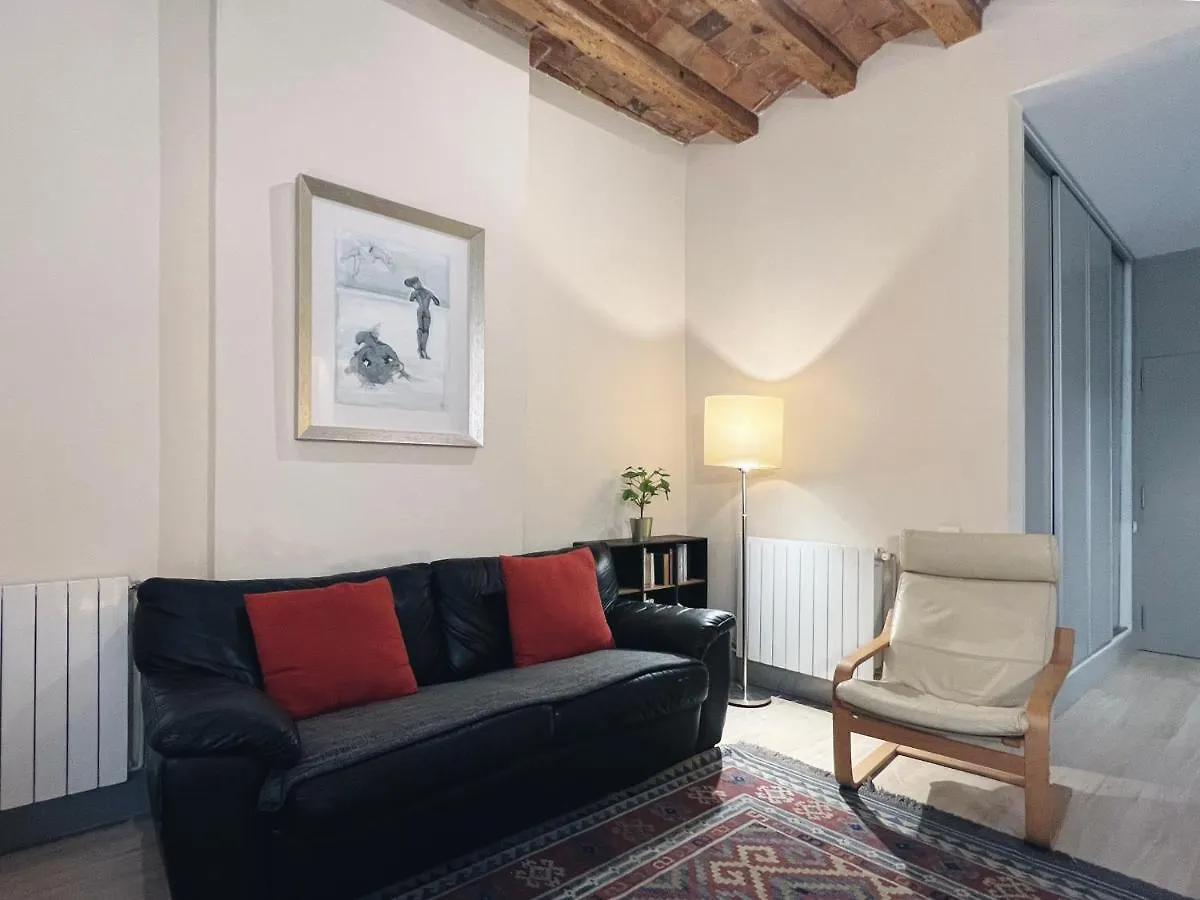 Plaza Catalunya IX Apartment Βαρκελώνη Ισπανία